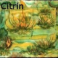 Ione Citrin -  - Water Color