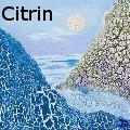 Ione Citrin - First Frost - None