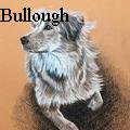 Nancy Tydings Bullough - Maya - Acrylics
