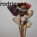 maya rodriguez -  - None